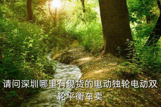 請問深圳哪里有現貨的電動獨輪電動雙輪平衡車賣