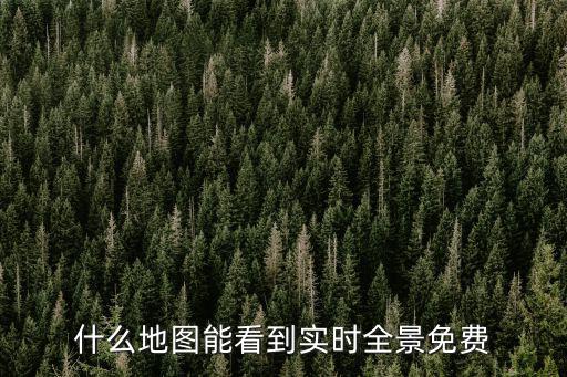 什么地圖能看到實時全景免費