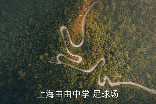 上海由由中學(xué) 足球場(chǎng)