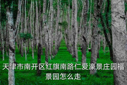 天津市南開區紅旗南路仁愛濠景莊園福景園怎么走