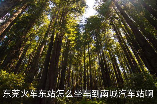 東莞火車東站怎么坐車到南城汽車站啊