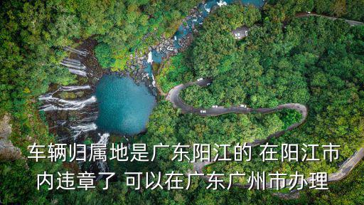  車輛歸屬地是廣東陽江的 在陽江市內違章了 可以在廣東廣州市辦理