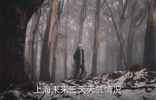 上海明后三天天氣預報，上海未來三天天氣情況