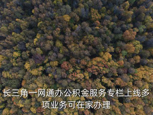 長三角一網(wǎng)通辦公積金服務(wù)專欄上線多項(xiàng)業(yè)務(wù)可在家辦理