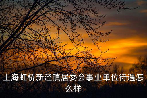 上海居委會書記工資，居委會工作人員到底拿的是工資還是補貼