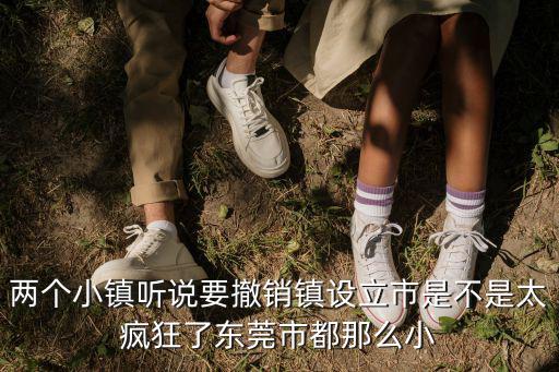 兩個小鎮(zhèn)聽說要撤銷鎮(zhèn)設立市是不是太瘋狂了東莞市都那么小