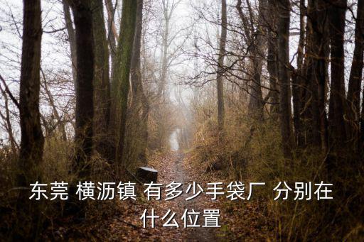 東莞 橫瀝鎮 有多少手袋廠 分別在什么位置