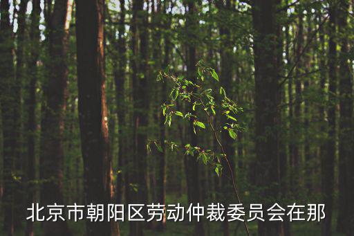 北京市朝陽區勞動仲裁委員會在那
