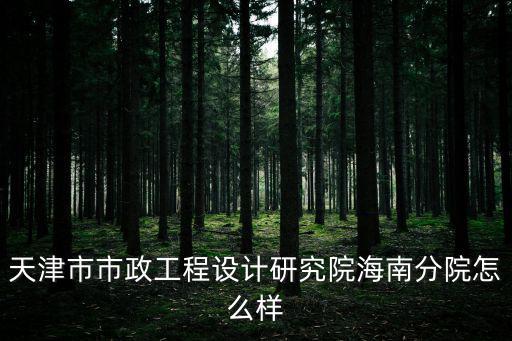天津市市政工程設計研究院海南分院怎么樣