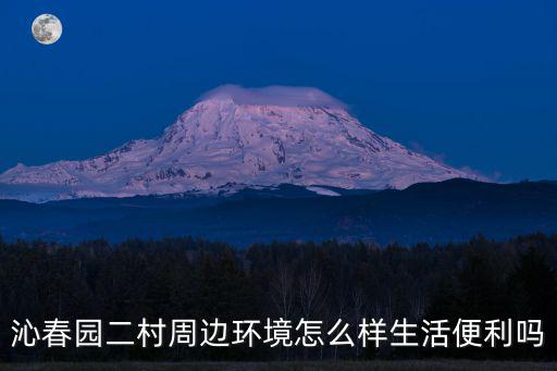 沁春園二村周邊環(huán)境怎么樣生活便利嗎