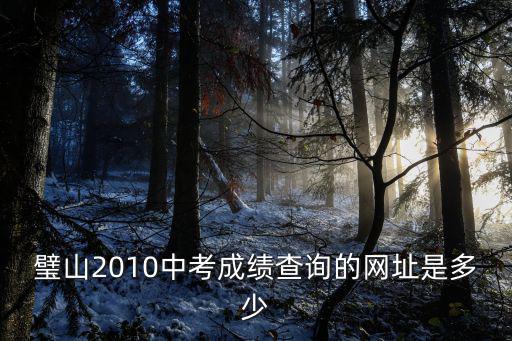 重慶市璧山中學(xué)成績查詢，誰知道璧山中學(xué)的期末成績怎么查