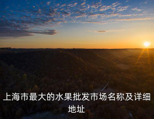 上海市最大的水果批發市場名稱及詳細地址