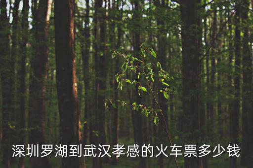 深圳羅湖到武漢孝感的火車(chē)票多少錢(qián)