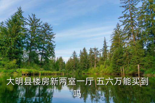 大明縣樓房新兩室一廳 五六萬能買到嗎