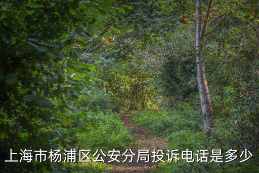 上海市楊浦區公安分局投訴電話是多少