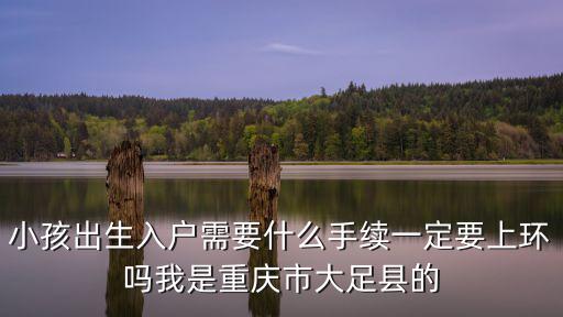 小孩出生入戶需要什么手續一定要上環嗎我是重慶市大足縣的