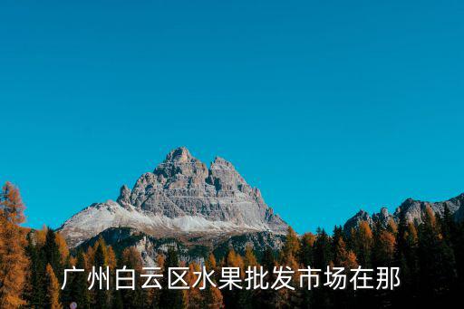 廣州白云區水果批發市場在那