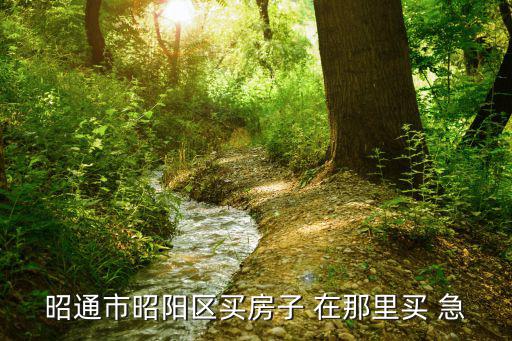 昭通市昭陽區(qū)買房子 在那里買 急