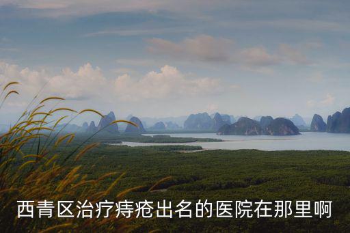 西青區(qū)治療痔瘡出名的醫(yī)院在那里啊