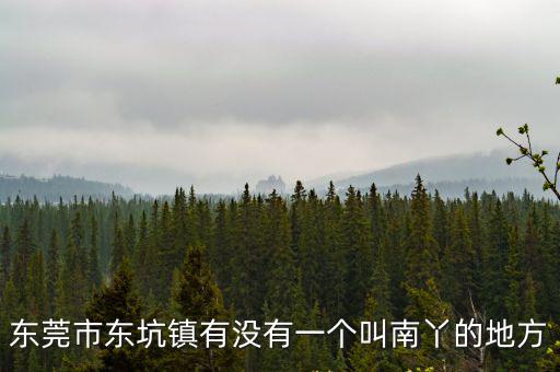 東莞市東坑鎮有沒有一個叫南丫的地方