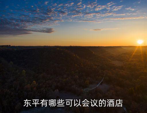 東平有哪些可以會議的酒店