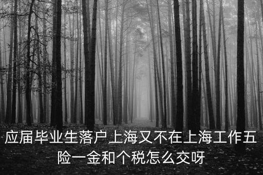 應屆畢業(yè)生落戶上海又不在上海工作五險一金和個稅怎么交呀