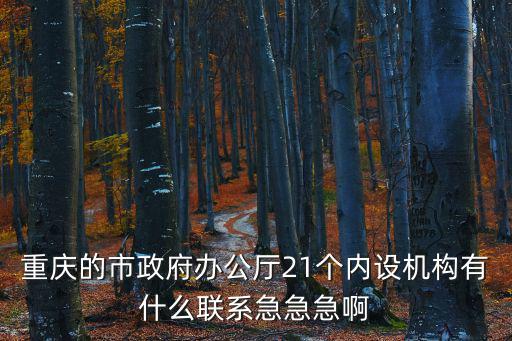 重慶的市政府辦公廳21個(gè)內(nèi)設(shè)機(jī)構(gòu)有什么聯(lián)系急急急啊