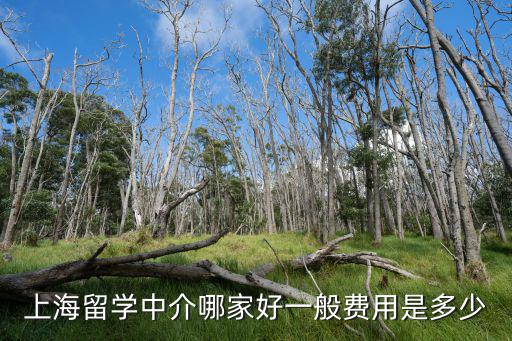 上海留學中介哪家好一般費用是多少