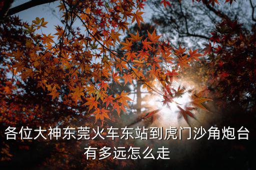 各位大神東莞火車東站到虎門沙角炮臺有多遠怎么走