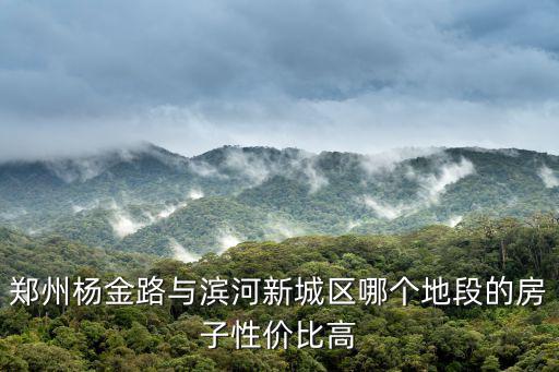 鄭州楊金路與濱河新城區哪個地段的房子性價比高