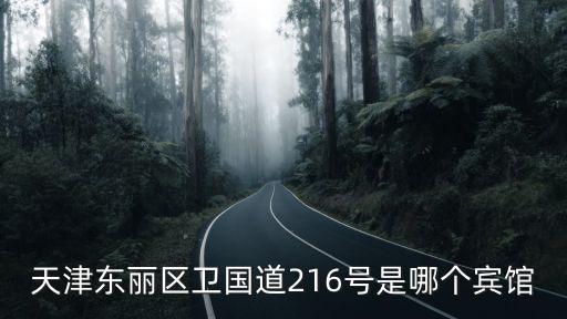 天津東麗區(qū)衛(wèi)國(guó)道216號(hào)是哪個(gè)賓館