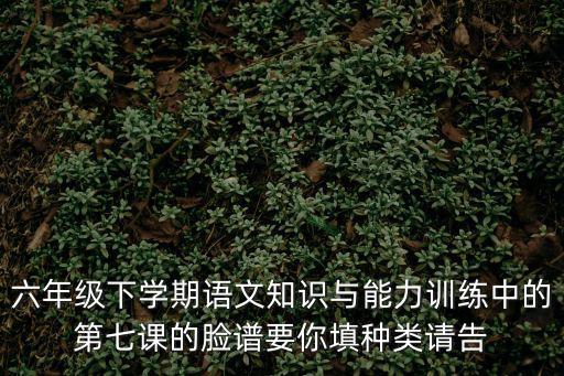 深圳小學六年級下冊語文知能，六年級下學期語文知識與能力訓練中的第七課的臉譜要你填種類請告
