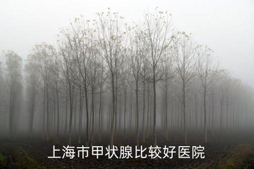上海市甲狀腺比較好醫院
