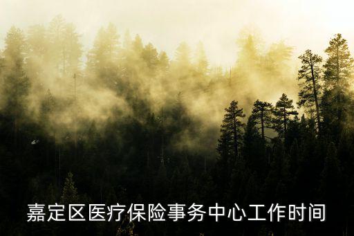 嘉定區醫療保險事務中心工作時間