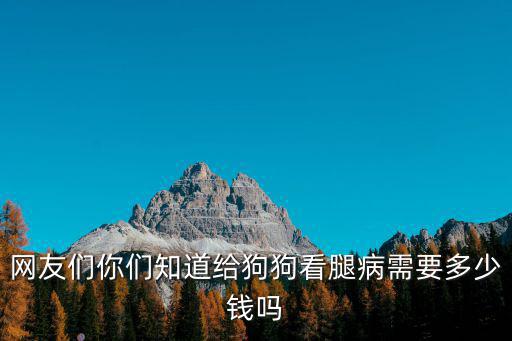 給狗治腿多少錢，網友們你們知道給狗狗看腿病需要多少錢嗎