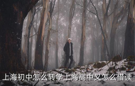 借讀 上海市  高中，關于上海高中借讀的事
