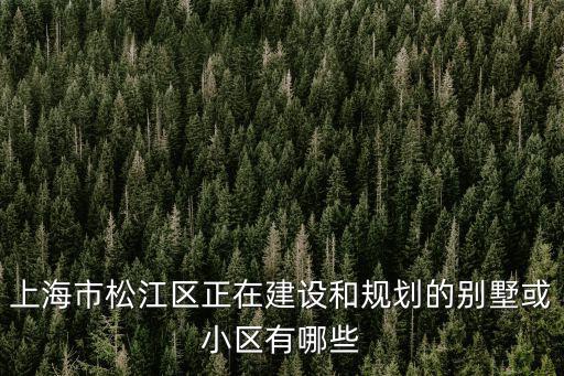 上海市松江區正在建設和規劃的別墅或小區有哪些