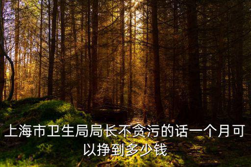 上海市衛生局局長不貪污的話一個月可以掙到多少錢