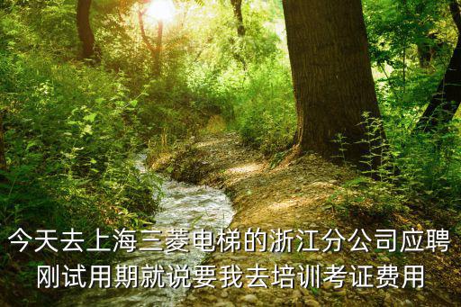 今天去上海三菱電梯的浙江分公司應聘剛試用期就說要我去培訓考證費用