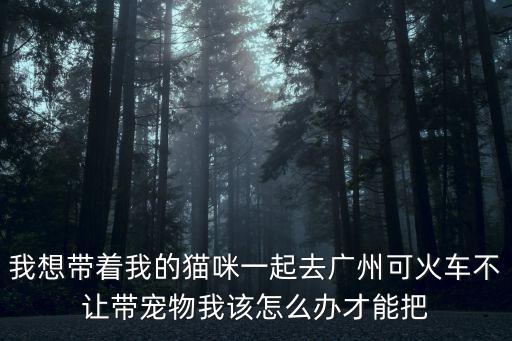 我想帶著我的貓咪一起去廣州可火車不讓帶寵物我該怎么辦才能把
