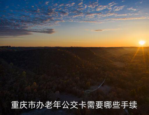 重慶市民通開卡，第一次辦學生公交卡怎么辦