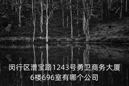 閔行區漕寶路1243號勇衛商務大廈6樓696室有哪個公司