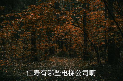 仁壽有哪些電梯公司啊