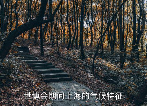 世博會期間上海的氣候特征