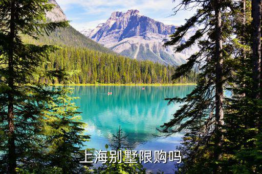 上海別墅限購嗎