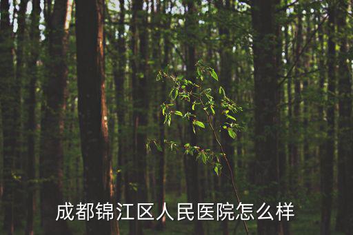 成都錦江區人民醫院怎么樣