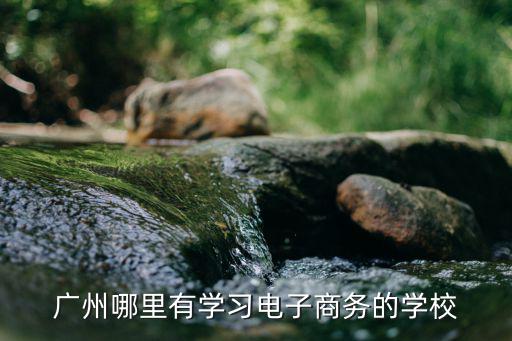 廣州哪里有學(xué)習(xí)電子商務(wù)的學(xué)校