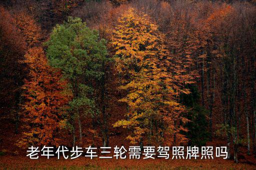 老年代步車三輪需要駕照牌照嗎
