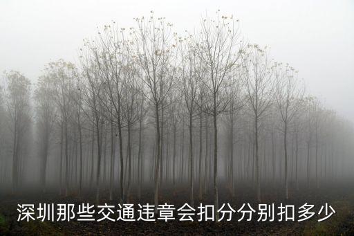 深圳那些交通違章會扣分分別扣多少