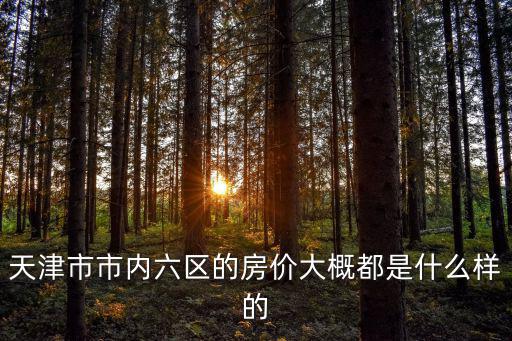 天津市市內六區的房價大概都是什么樣的